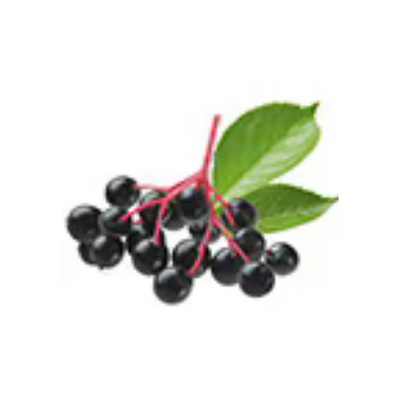 Organic Elderberry